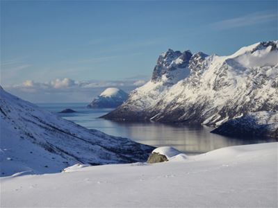 Utsikt over fjord og fjell