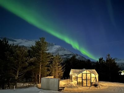 A straight line of Northern Lights shoots over the camp