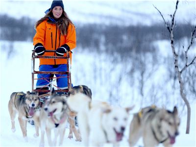 A guest drives the dog sled