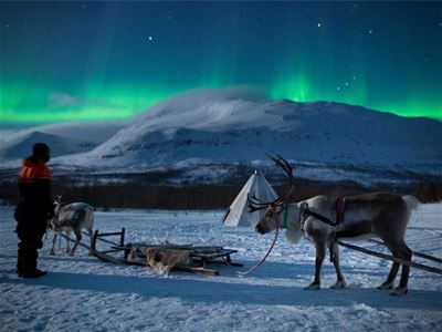 Reinsdyr, reinsdyrslede, en guide og nordlys over dem