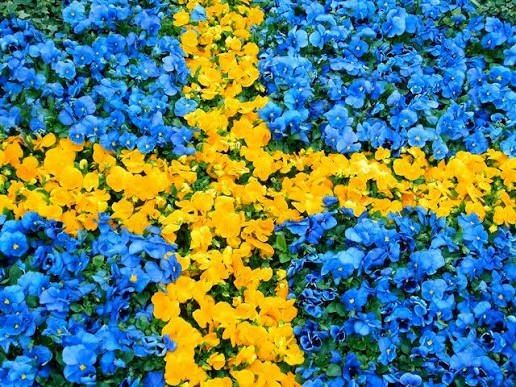 Nationaldagen - Årskogslokalen