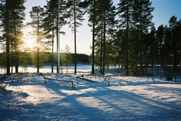 Utsikt från stugorna mot snötäckt gård. 