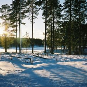 Utsikt från stugorna mot snötäckt gård.