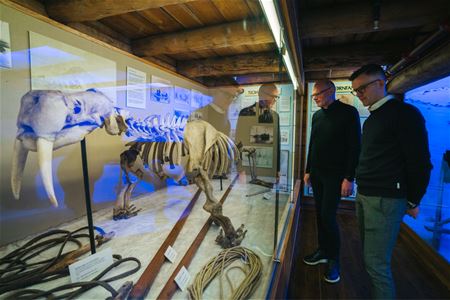 Two visitors looking at the exhibition