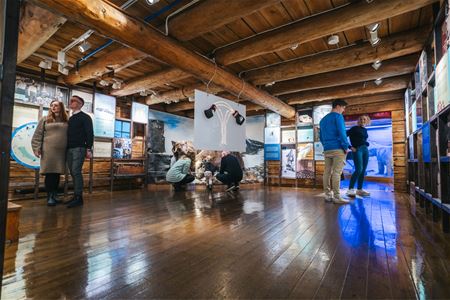 Several visitors looking at the exhibition