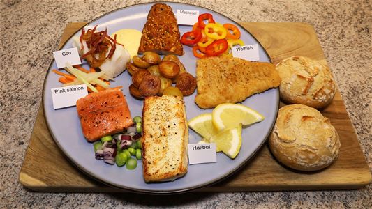 A selection of food on a plate