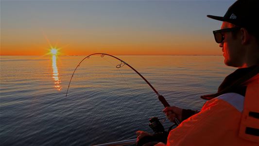 A person fishing with the sunset in the background