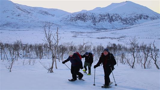 Several people snowshoeing in a winter landscape