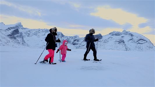 Three people snowshoeing in a winter landscape
