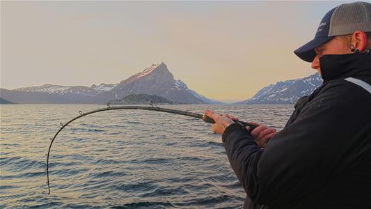 A person fishing from a boat