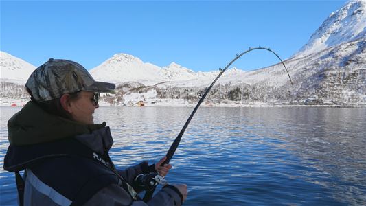 En person som fisker fra en båt