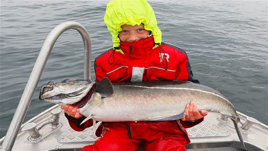En person som viser fram en fisk
