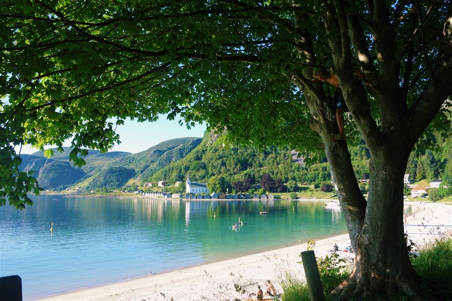 Leafy tree frames a calm lake and sandy beach, with swimmers, small boats, and green hills beyond..