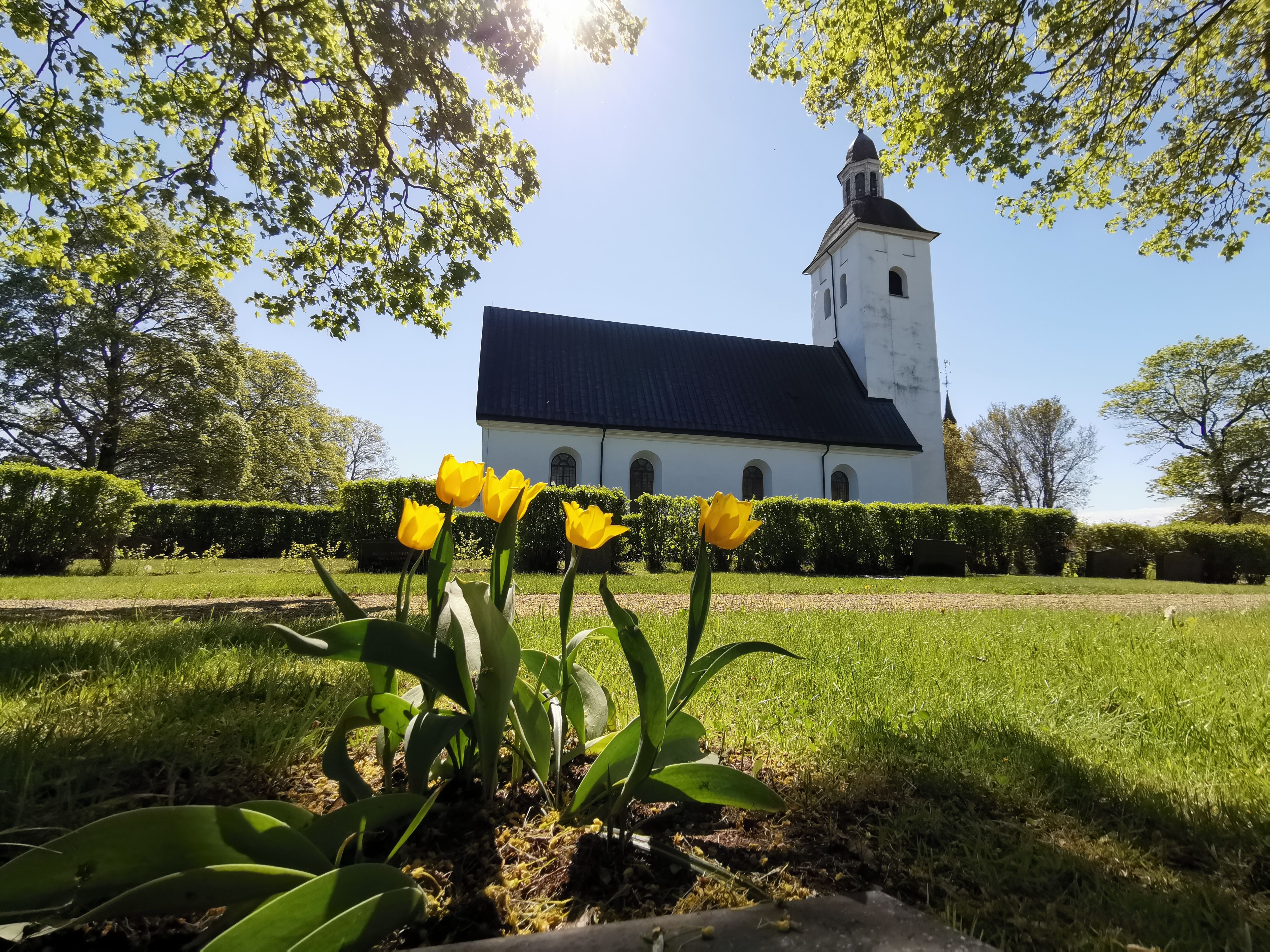 Psalmkvällar - Hälsingtuna kyrka