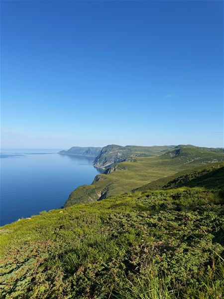 Tarvaldseggja - Topptur Ved Storhavet i Selje –Utsikt over grøne kystklipper og platå ved eit roleg blått hav under klar himmel i dagslys..