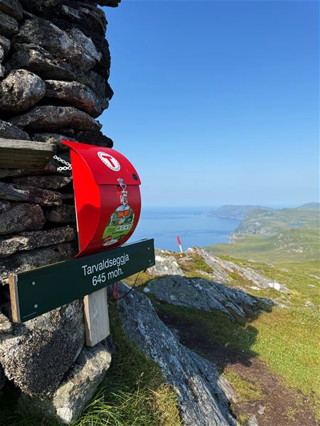 Tarvaldseggja - Topptur Ved Storhavet i Selje –Raud turboks på steinrøys ved skiltet «Tarvaldseggja 645 moh.» med utsyn mot fjord og fjell under blå himmel..