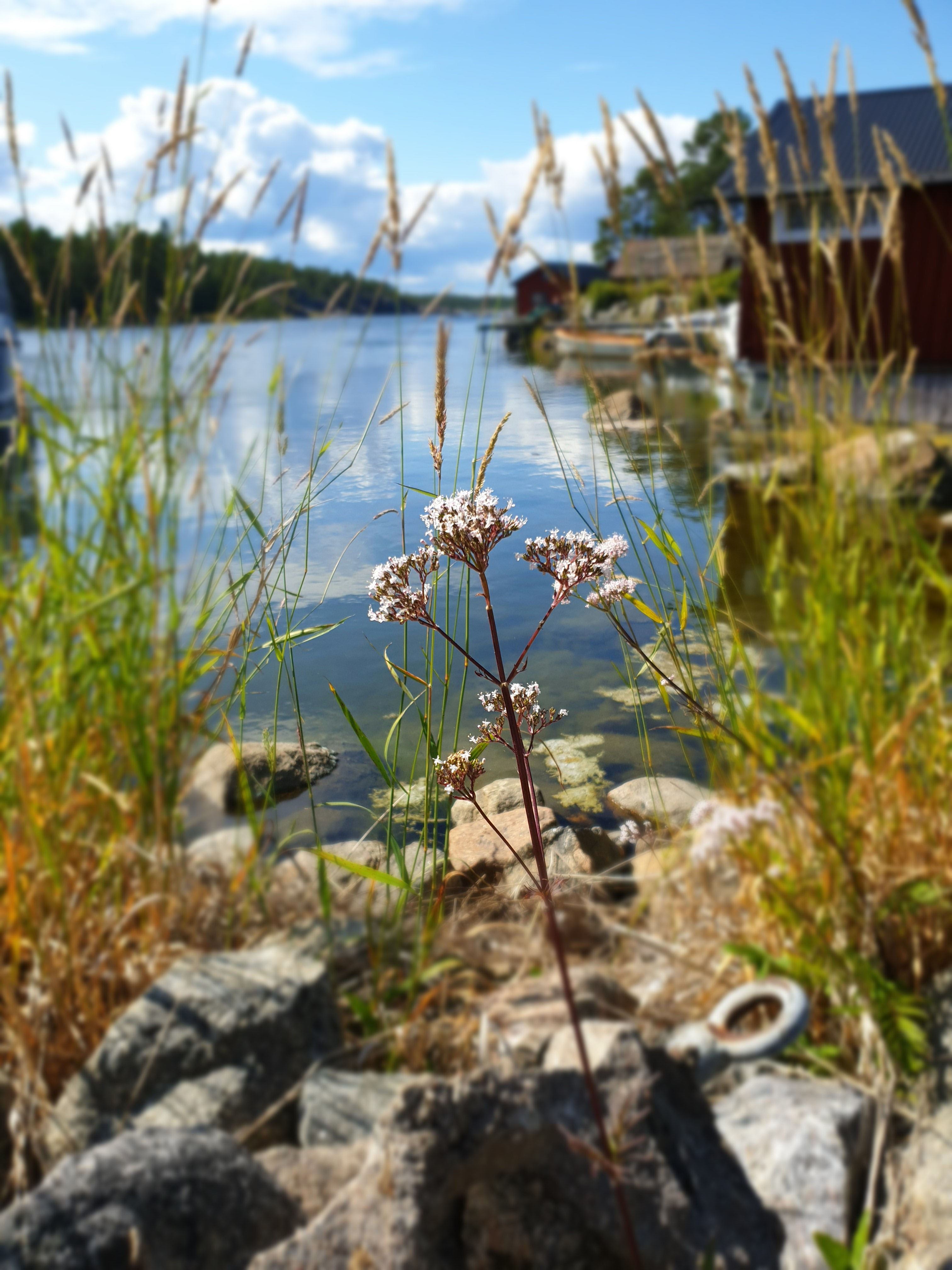 6 Juli Kvällstur med M/S Hulda