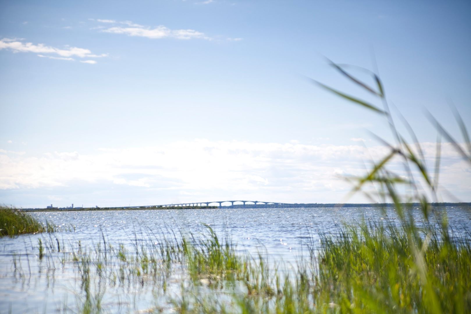 Saxnäs Camping Öland
