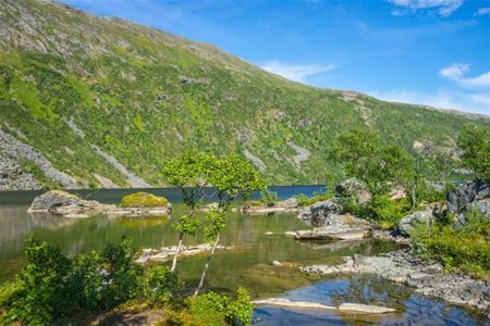 Bilde av sommerlandskapet