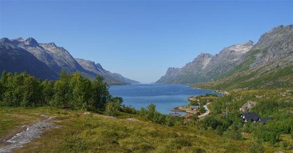 Fjord with mountains on both sides in summer