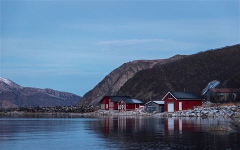 Some houses by the shoreline