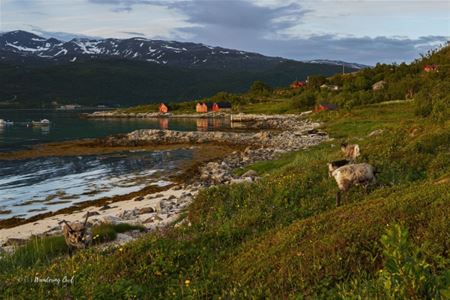 En strand og fjære med fjell og hus i bakgrunnen