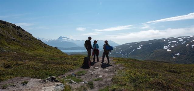 Three guests on a hike in an Arctic landscape