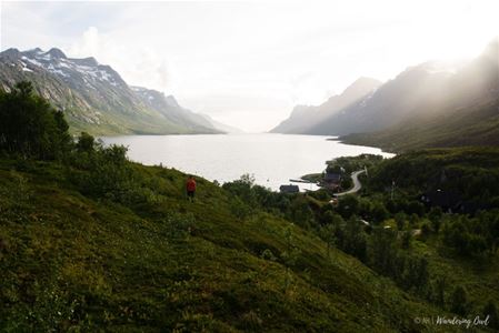 A fjord with mountains on either side during summer