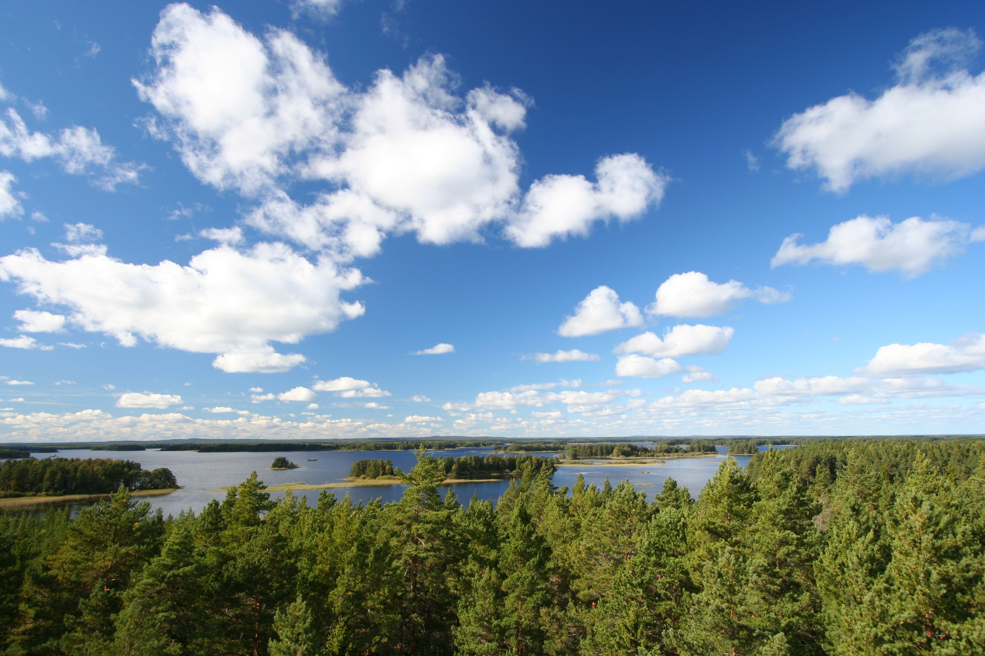 Vandring i Färnebofjärdens nationalpark