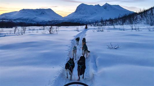 Huskyer som trekker en slede i et vinterlandskap med fjell i bakgrunnen.
