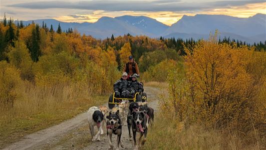 Several huskies pulling a cart with two guests and a guide, with an Arctic landscape in the background.