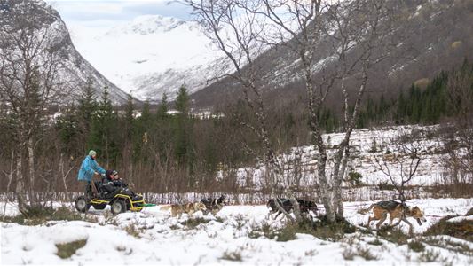 Several huskies pulling a cart with two guests and a guide, with an Arctic landscape in the background.