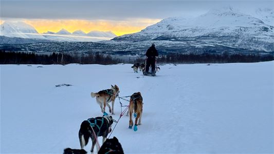 Huskyer som trekker en slede i et vinterlandskap med fjell i bakgrunnen.