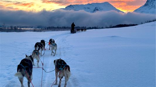 Huskyer som trekker en slede i et vinterlandskap med fjell i bakgrunnen.