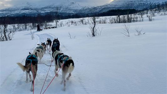 Huskyer som trekker en slede i et vinterlandskap med fjell i bakgrunnen.