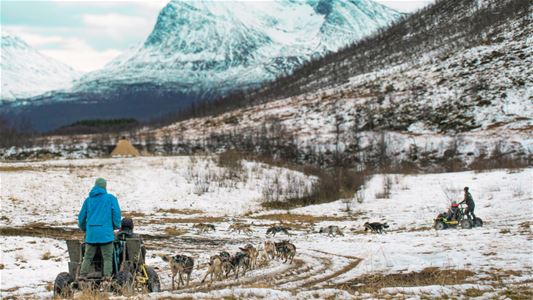 Two carts pulled by huskies in an Arctic landscape with some snow and high mountains in the background.