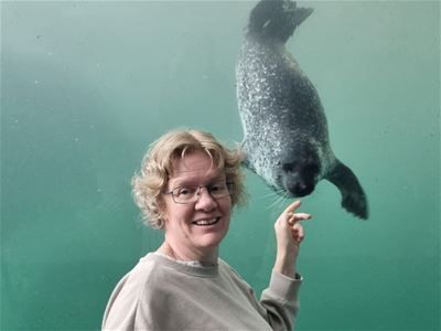 En person som peker på en sel i et akvarium