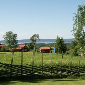 Utsikt över en gärdesgård, blommande äng och med några hus och sjön längre bort. 