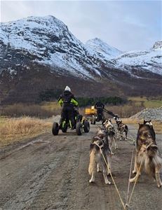 Flere sledevogner Several sled carts being pulled by dogs