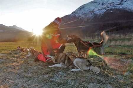 Guests on sleds with the beginning of the winter landscape in the background
