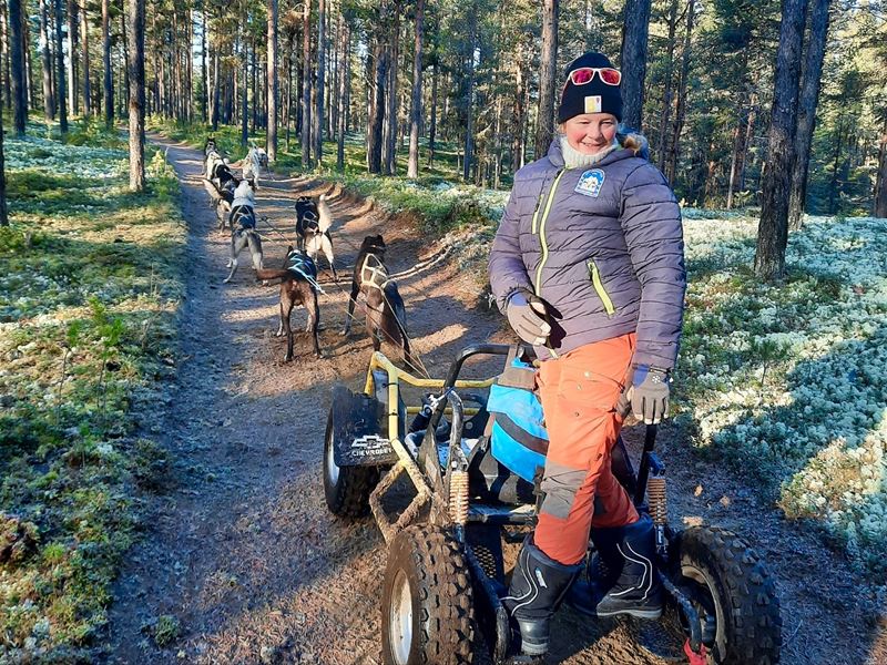 Dog sled team with musher on a cart along a forest path