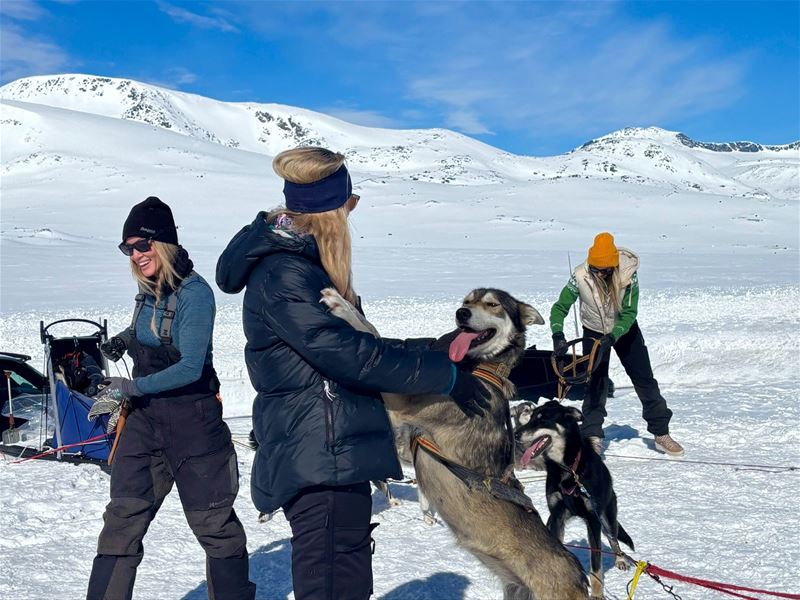 Dog sled team with participants in a snowy mountain landscape