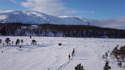 Guests on snowshoes walking in snowcovered lanscape