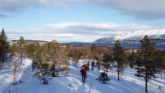 Snowshoeing tour