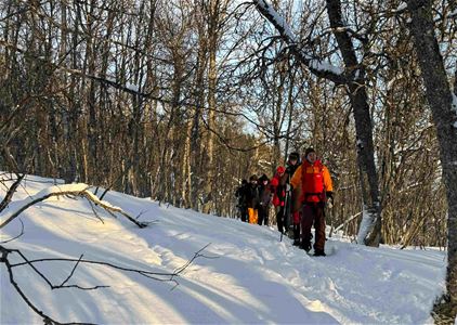Guiding through the woods