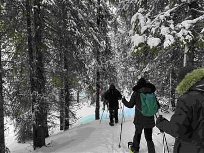 Snowshoe trip