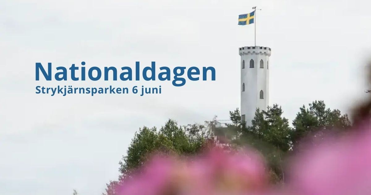 Nationaldagsfirande i Strykjärnsparken