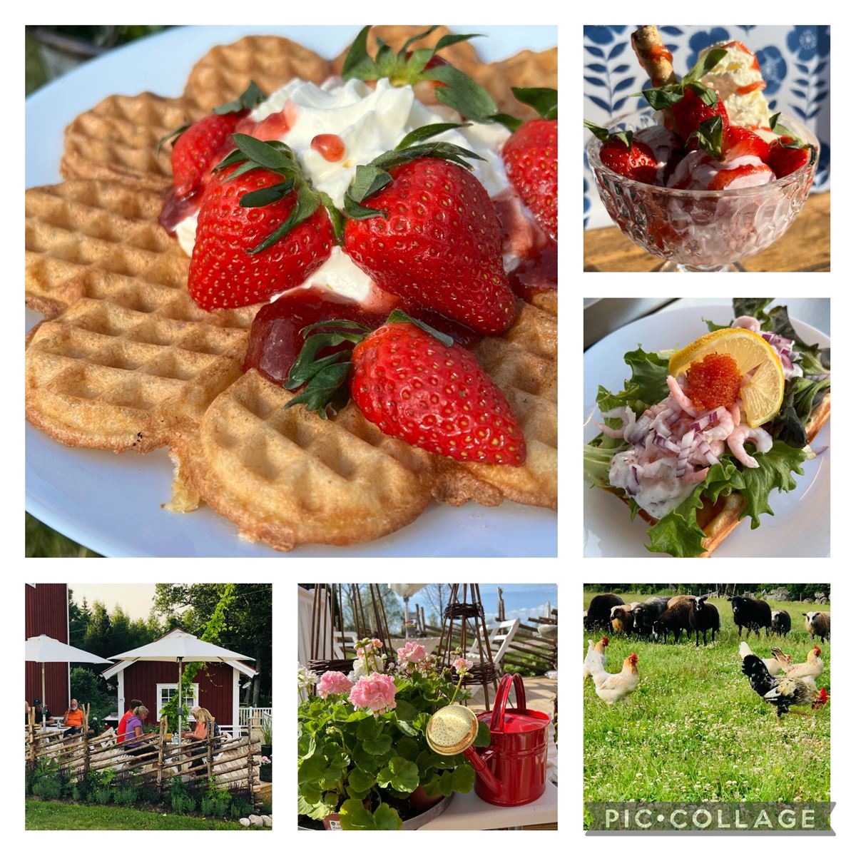 Våffelservering i trädgården image 1