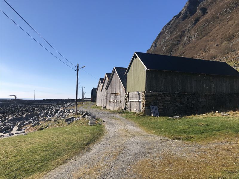 Grusveg langs ei rekkje gamle naust ved steinfylling og sjø, med straumstolpar og bratt fjellside under blå himmel i Hoddevik..