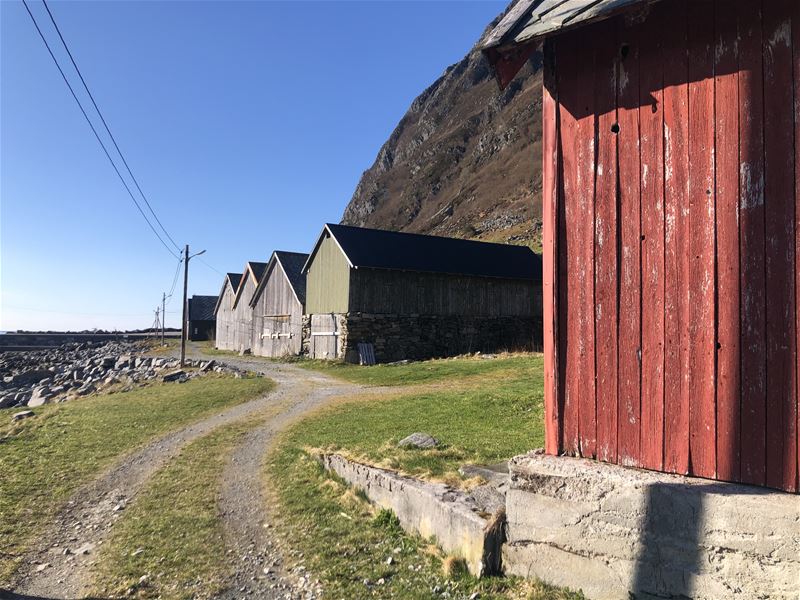 Raudt trehus i forgrunnen ved ein grusveg som går forbi naust, med steinstrand og fjell under blå himmel i Hoddevik..